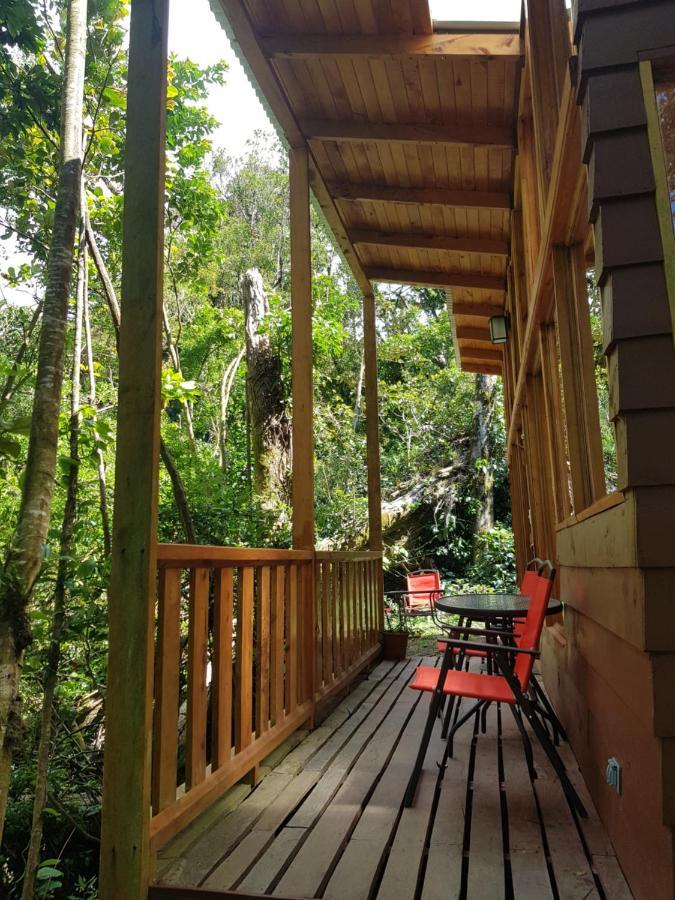 Finca Terra Viva Monteverde Ngoại thất bức ảnh