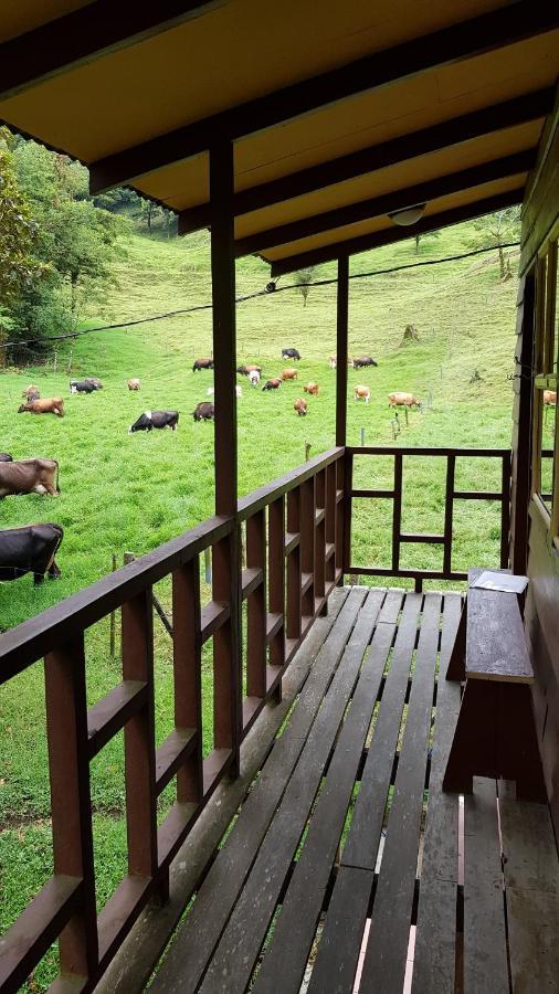 Finca Terra Viva Monteverde Ngoại thất bức ảnh