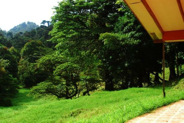 Finca Terra Viva Villa Monteverde Ngoại thất bức ảnh