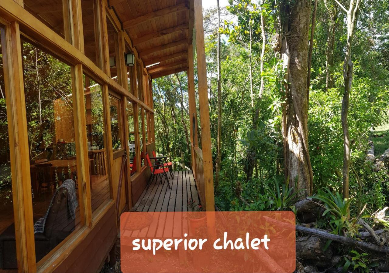 Finca Terra Viva Monteverde Ngoại thất bức ảnh